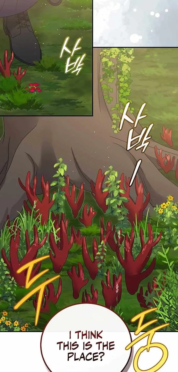 The Killer Empres Chapter 15 page 6 - 