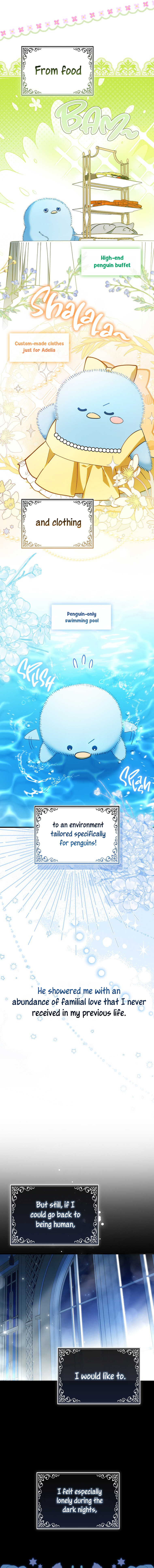 The Killer Whale