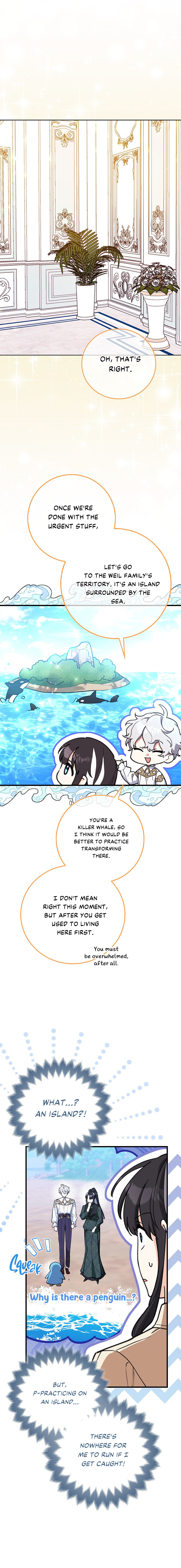 The Killer Whale