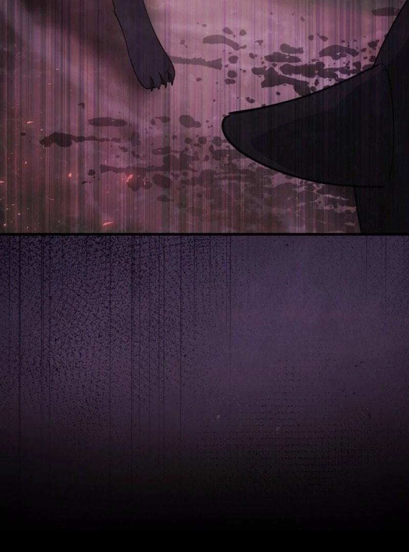 The Killer Whale