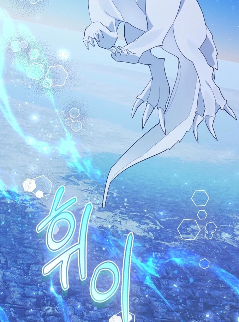 The Killer Whale