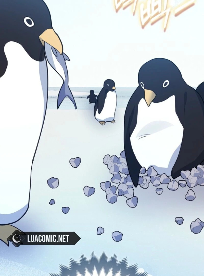 The Killer Whale