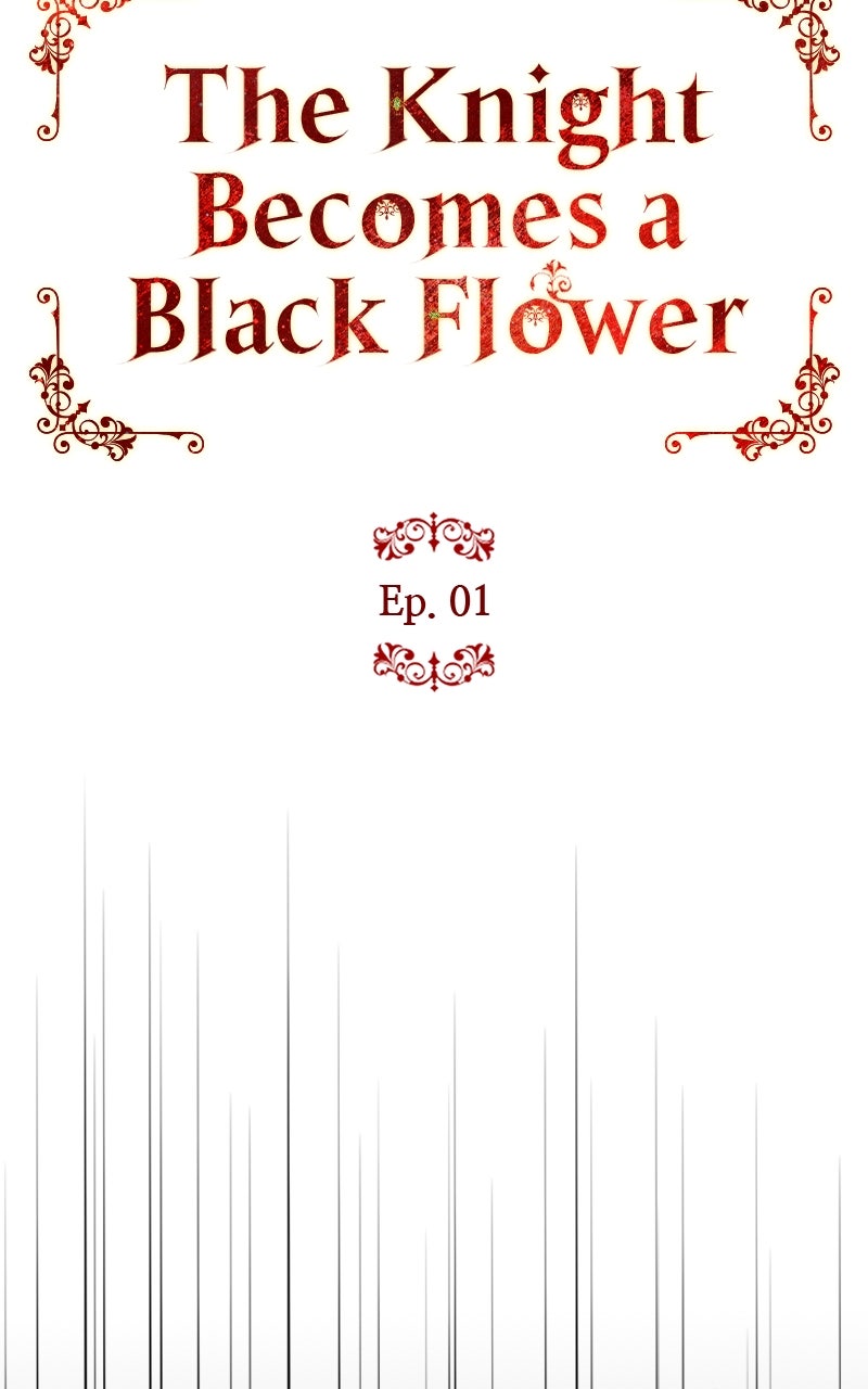 The Knight Becomes a Black Flower Episode 1 page 47 - 