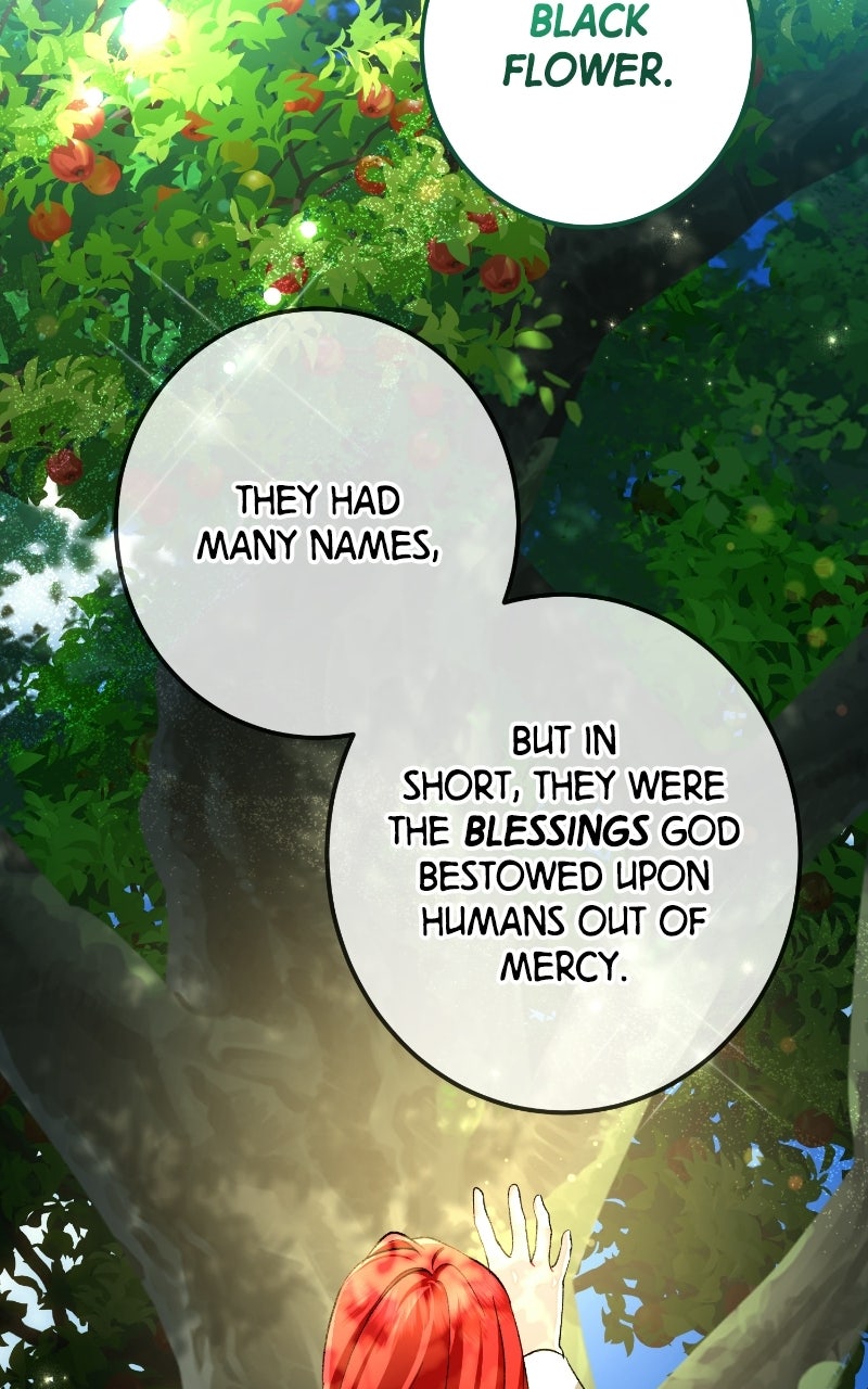 The Knight Becomes a Black Flower (S2) Episode 72 page 31 - 