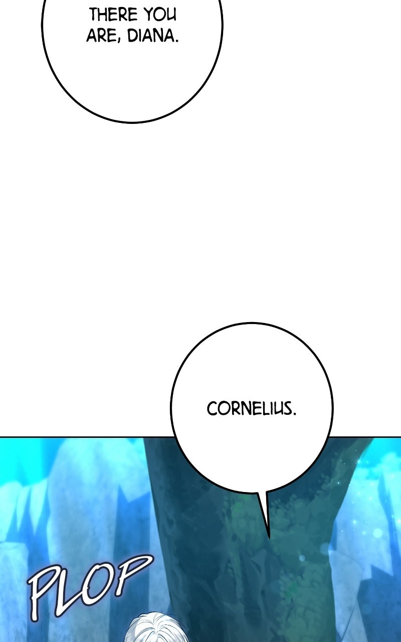 The Knight Becomes a Black Flower (S2) Episode 73 page 17 - 
