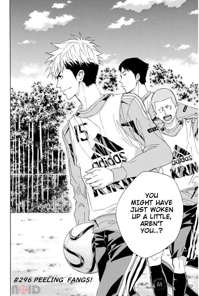 The Knight in the Area Chapter 296 page 1 - 