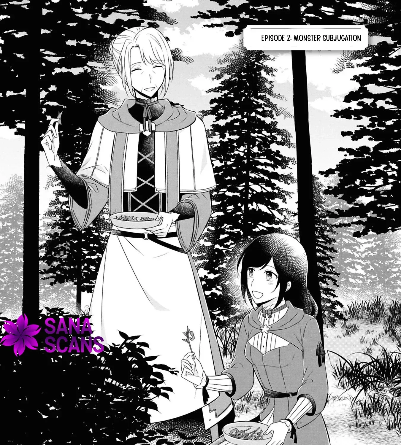 The Knights