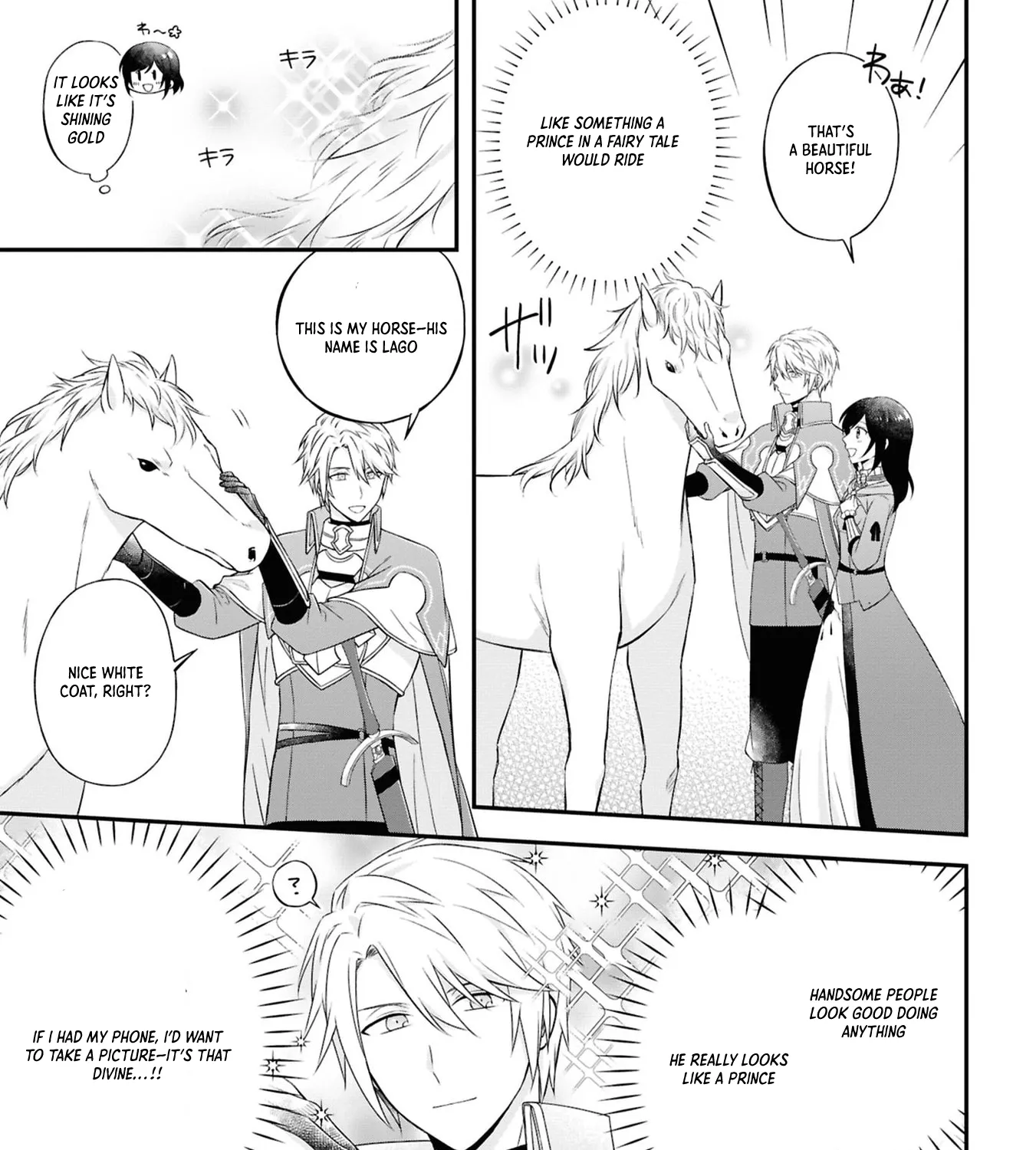 The Knights