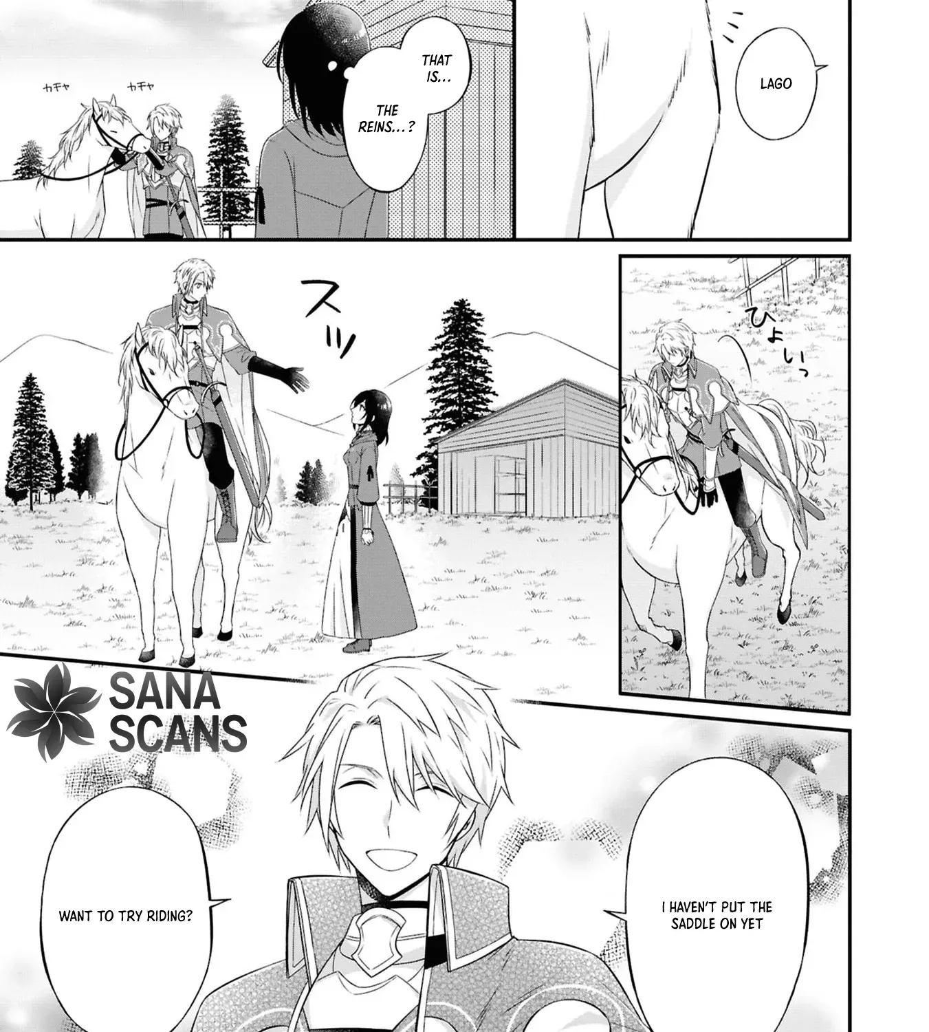 The Knights