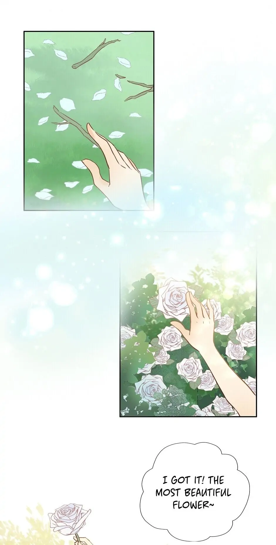 The Lady and the Lion Chapter 15 page 9 - 