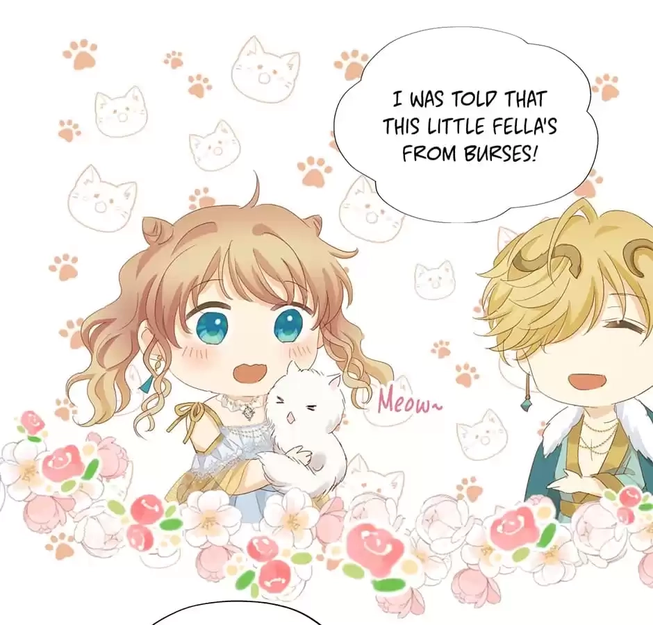 The Lady and the Lion Chapter 169 page 40 - 