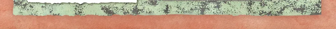 The Lady Knight and the Beast-Eared Child Chapter 0.5 page 34 - 