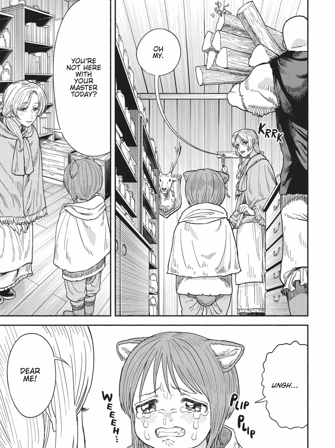 The Lady Knight and the Beast-Eared Child Chapter 11 page 15 - 