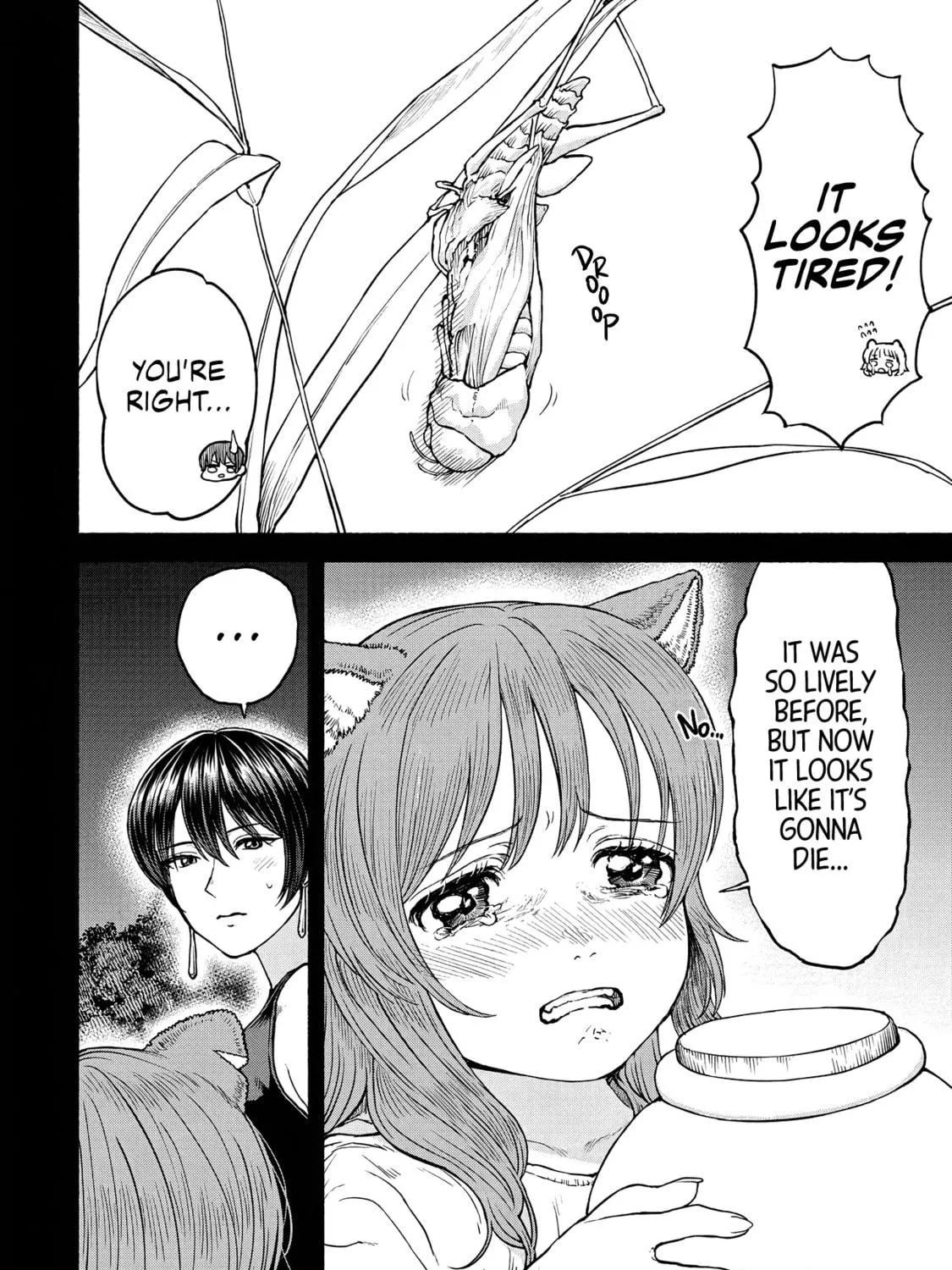 The Lady Knight and the Beast-Eared Child Chapter 20 page 11 - 