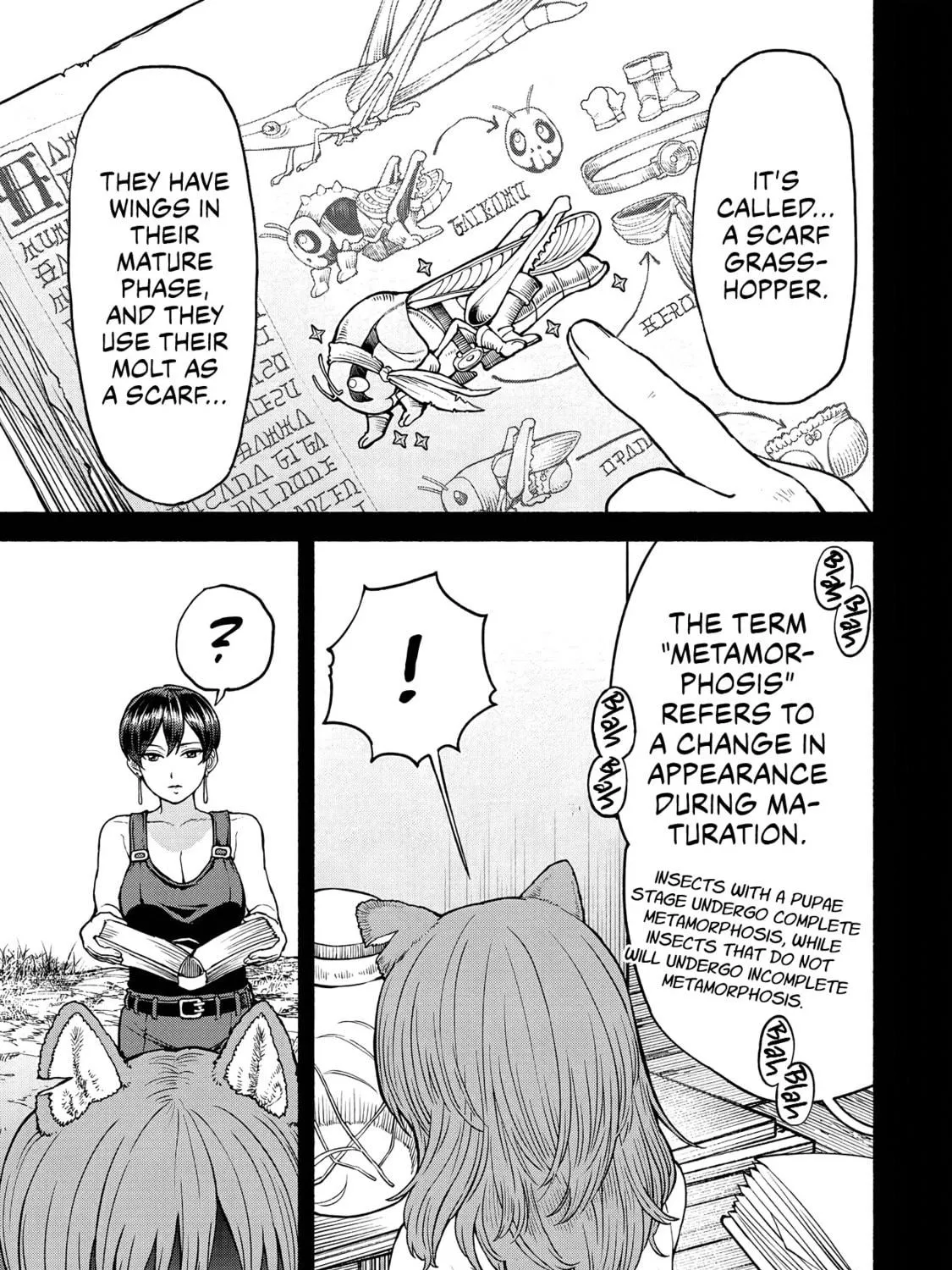 The Lady Knight and the Beast-Eared Child Chapter 20 page 17 - 