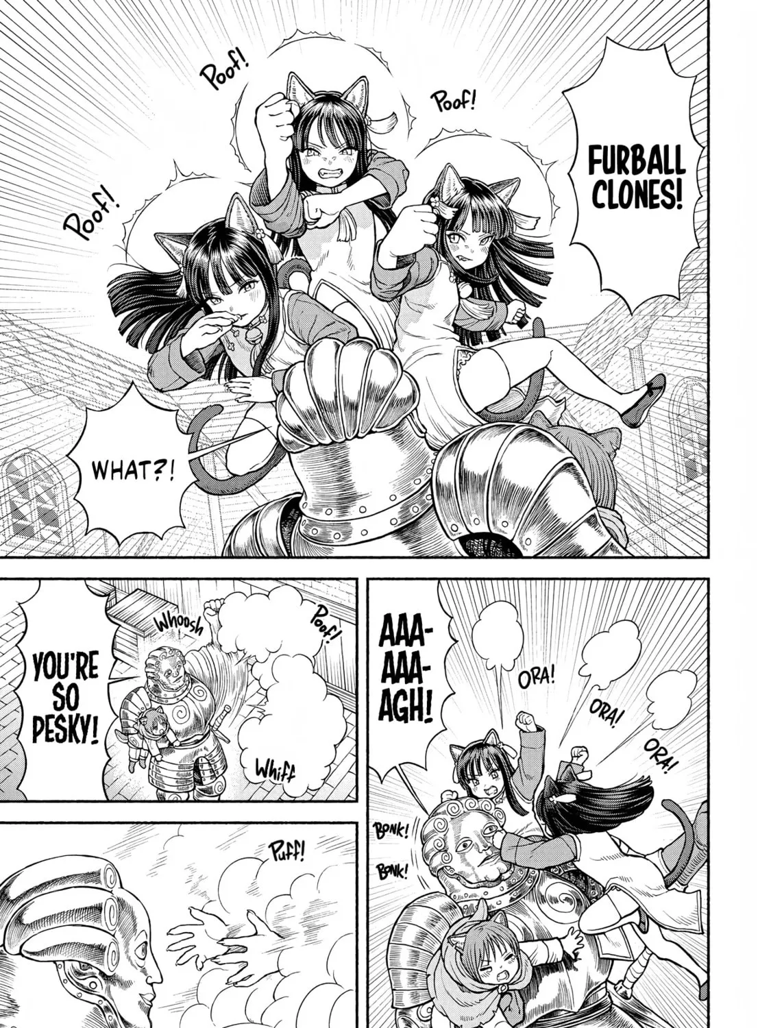 The Lady Knight and the Beast-Eared Child Chapter 24 page 3 - 