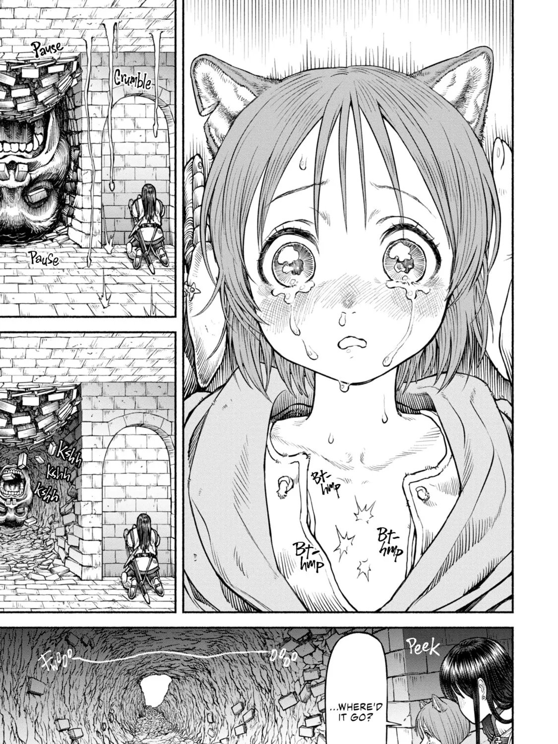 The Lady Knight and the Beast-Eared Child Chapter 37 page 13 - 