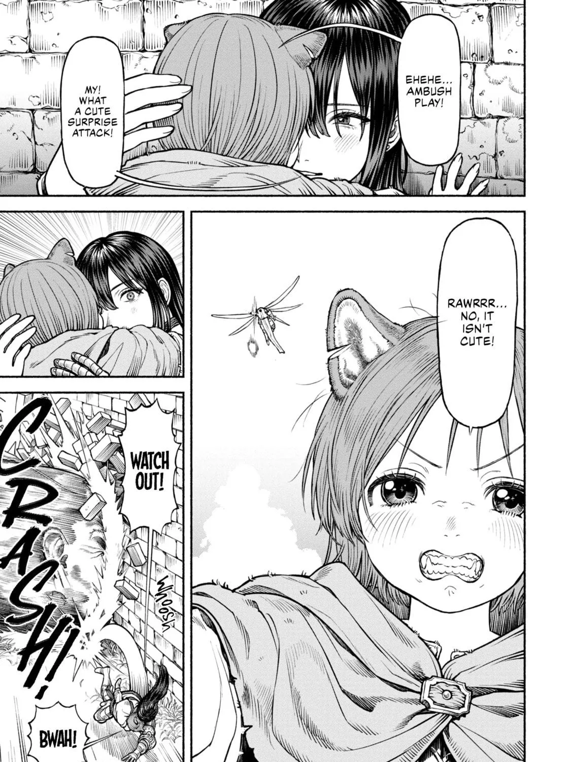 The Lady Knight and the Beast-Eared Child Chapter 37 page 5 - 
