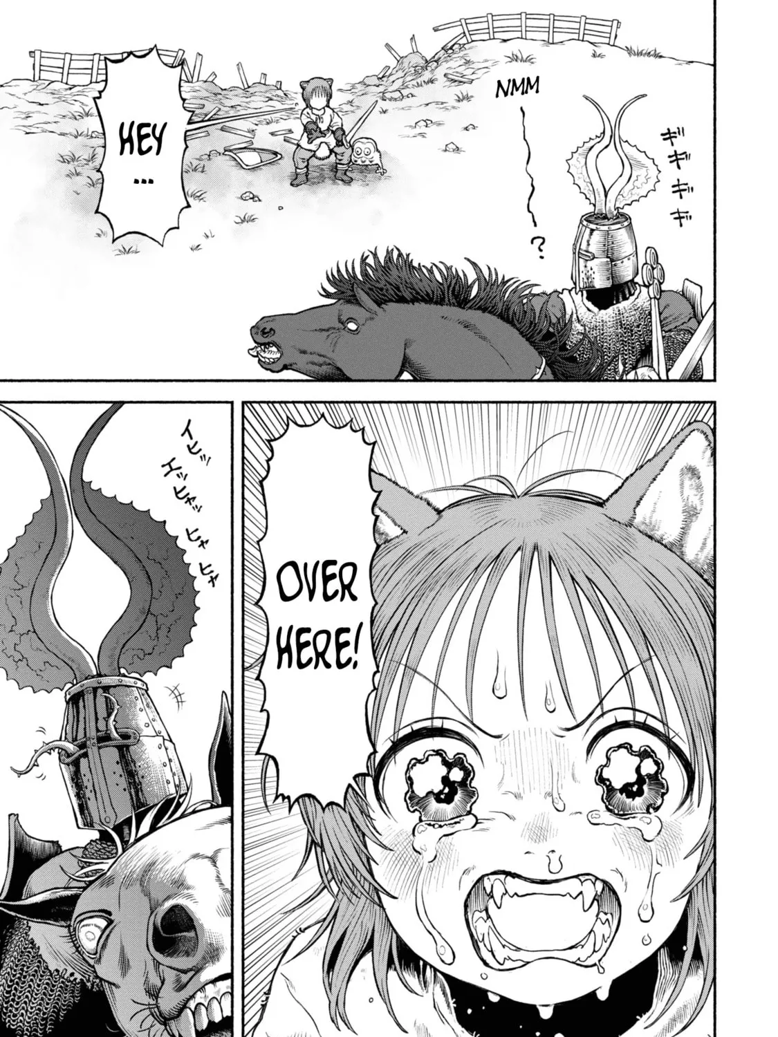 The Lady Knight and the Beast-Eared Child Chapter 42 page 25 - 