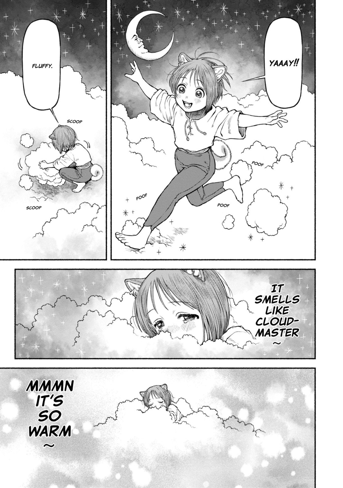 The Lady Knight and the Beast-Eared Child Chapter 46.5 page 3 - 