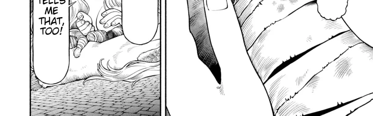 The Lady Knight and the Beast-Eared Child Chapter 62 page 8 - 