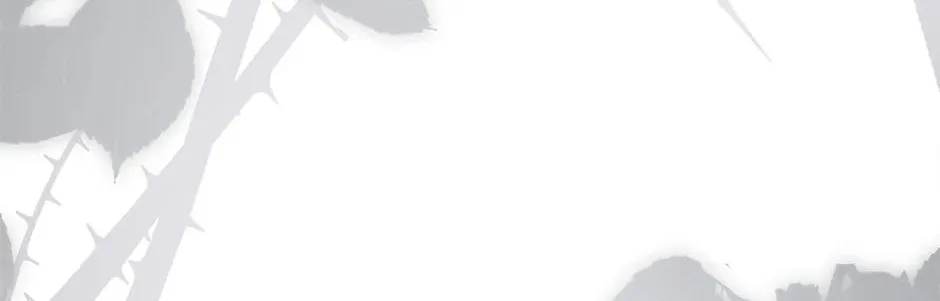 The Lady Needs a Break Chapter 111 page 142 - 