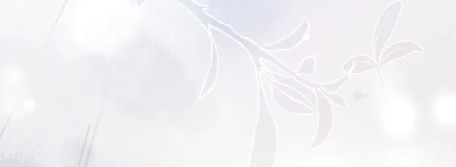 The Lady Needs a Break Chapter 116 page 68 - 