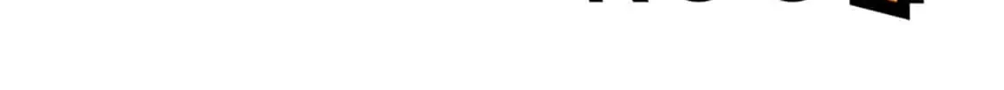The Lady