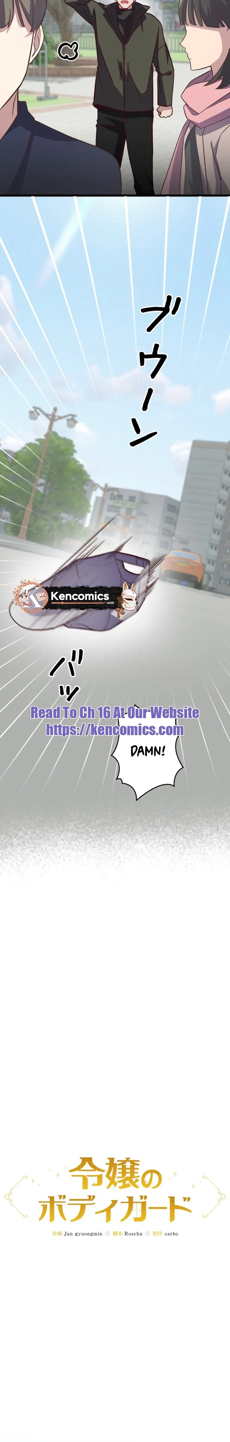 The lady’s bodyguard Chapter 11 page 17 - 