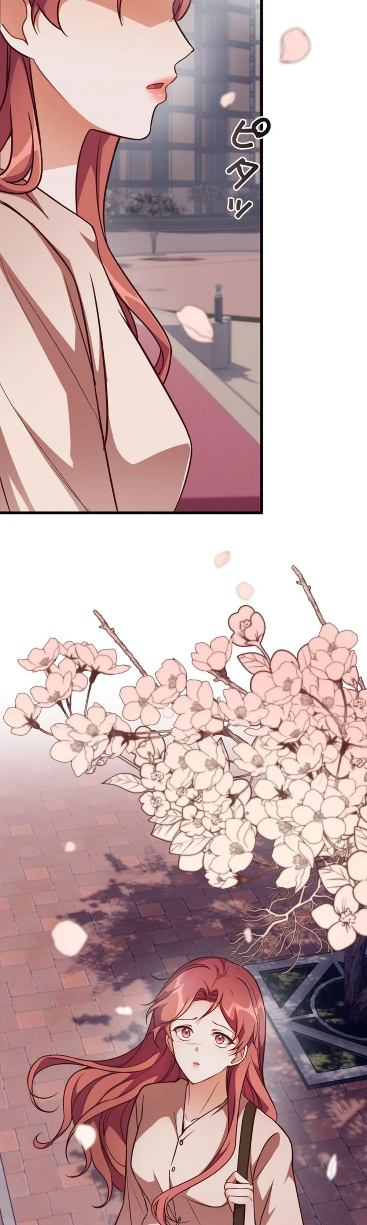 The lady’s bodyguard Chapter 5 page 5 - 