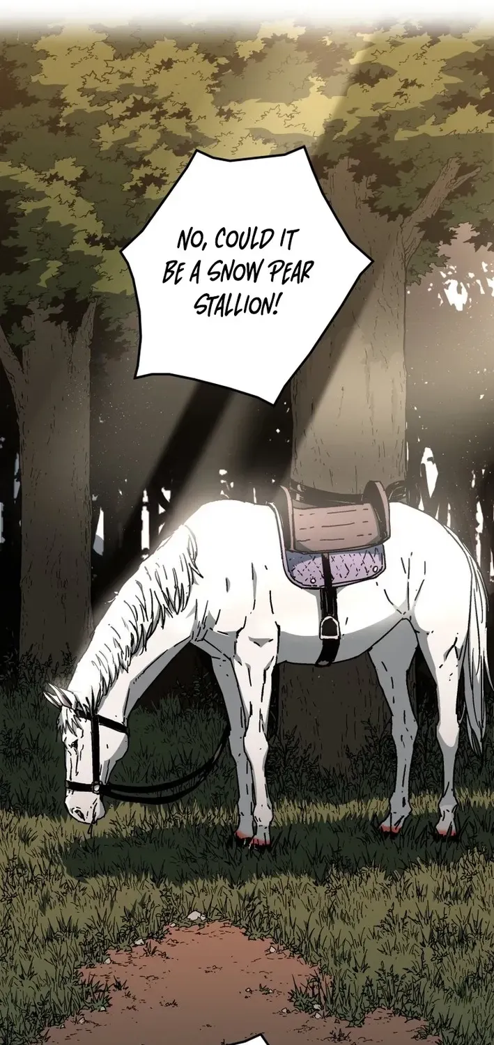 The Last Master of Jongnam Sect Chapter 5 page 13 - 