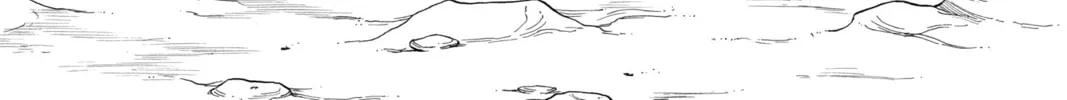 The Law of Ueki Chapter 109 page 32 - 