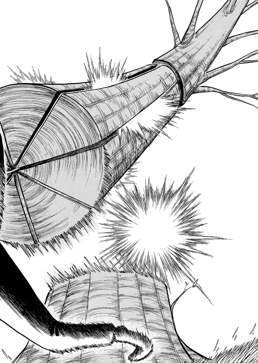 The Law of Ueki Chapter 13 page 31 - 