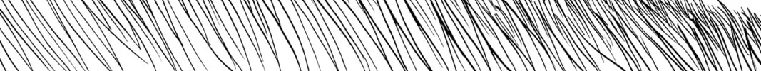 The Law of Ueki Chapter 13 page 34 - 