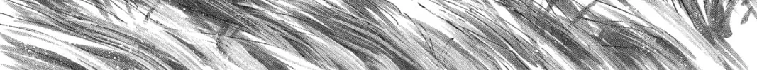 The Law of Ueki Chapter 6 page 2 - 
