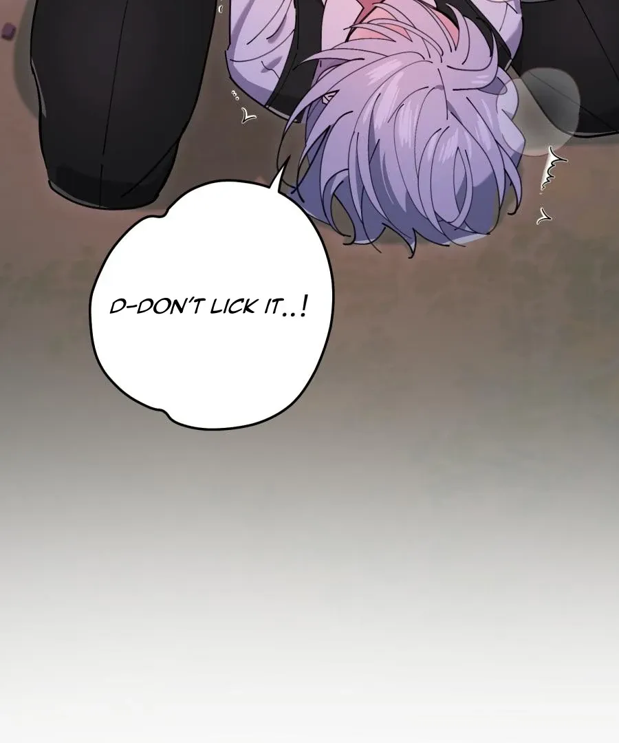  Chapter 2 page 114 - 