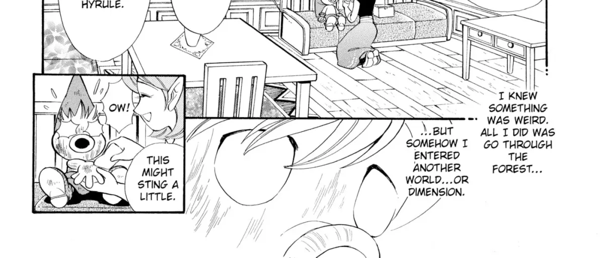 The Legend of Zelda: Ocarina of Time Chapter 17 page 24 - 