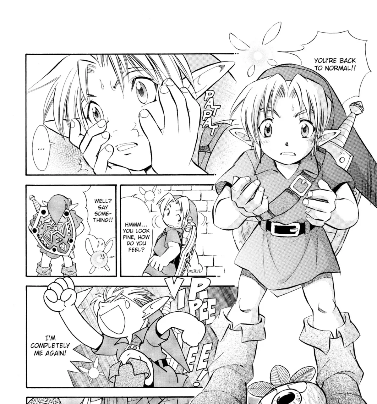 The Legend of Zelda: Ocarina of Time Chapter 18 page 15 - 