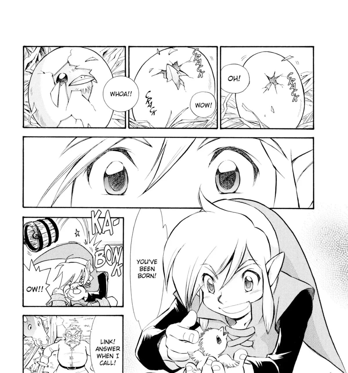 The Legend of Zelda: Ocarina of Time Chapter 25 page 17 - 