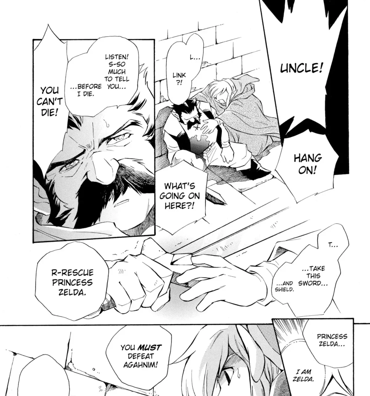 The Legend of Zelda: Ocarina of Time Chapter 64 page 17 - 