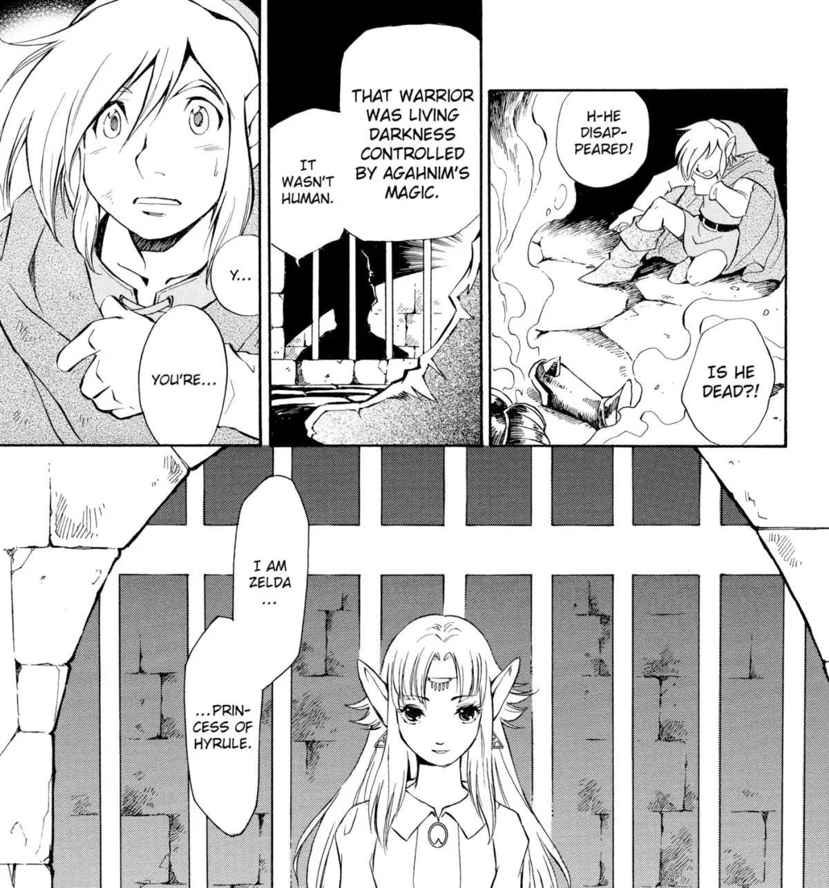 The Legend of Zelda: Ocarina of Time Chapter 64 page 29 - 