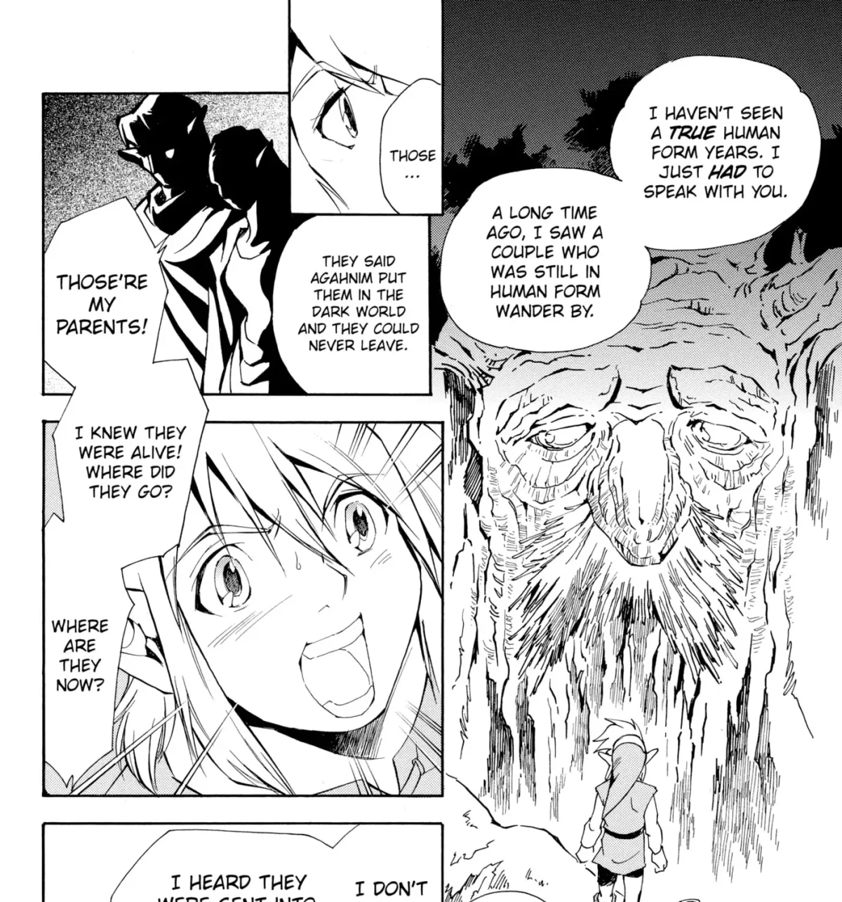The Legend of Zelda: Ocarina of Time Chapter 67 page 9 - 