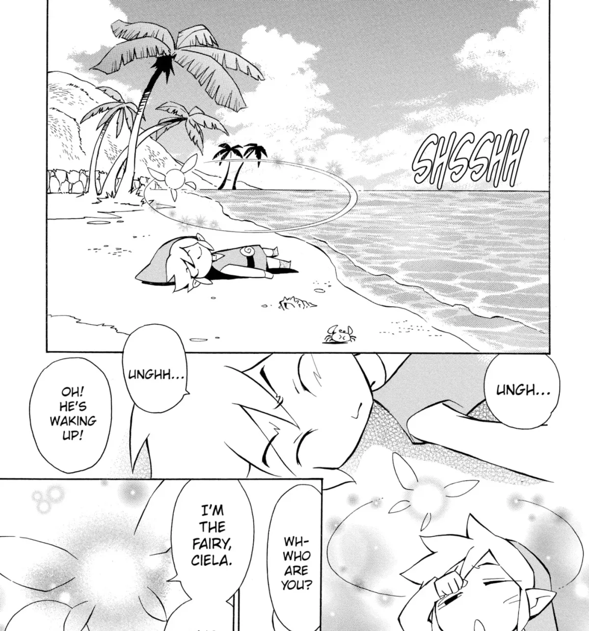 The Legend of Zelda: Ocarina of Time Chapter 69 page 13 - 