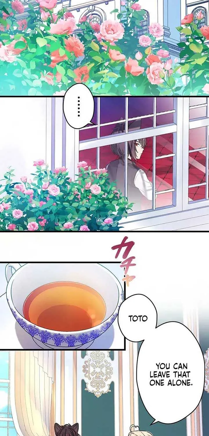 The Legendary Assassin Reincarnated as the Beloved Youngest Daughter of a Royal Family Chapter 14 page 14 - 