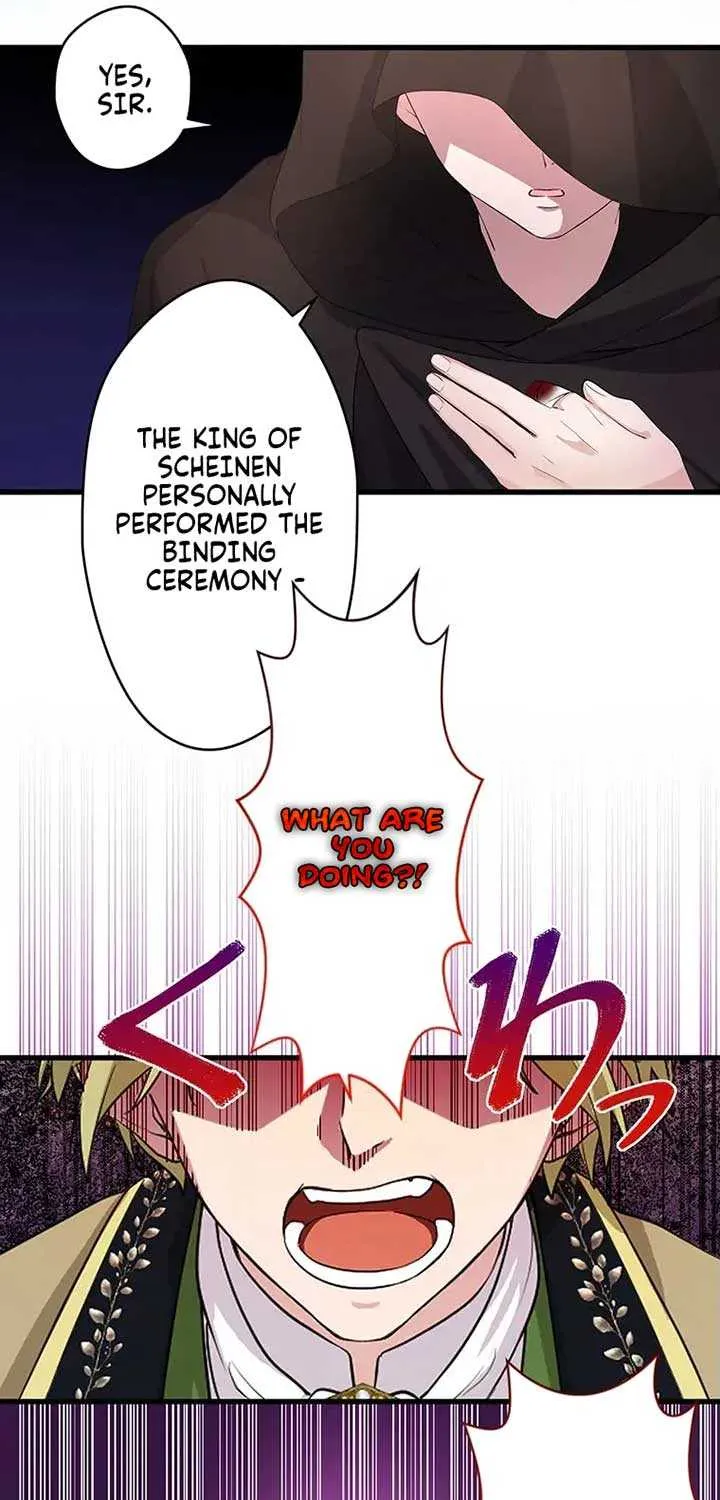 The Legendary Assassin Reincarnated as the Beloved Youngest Daughter of a Royal Family Chapter 14 page 33 - 