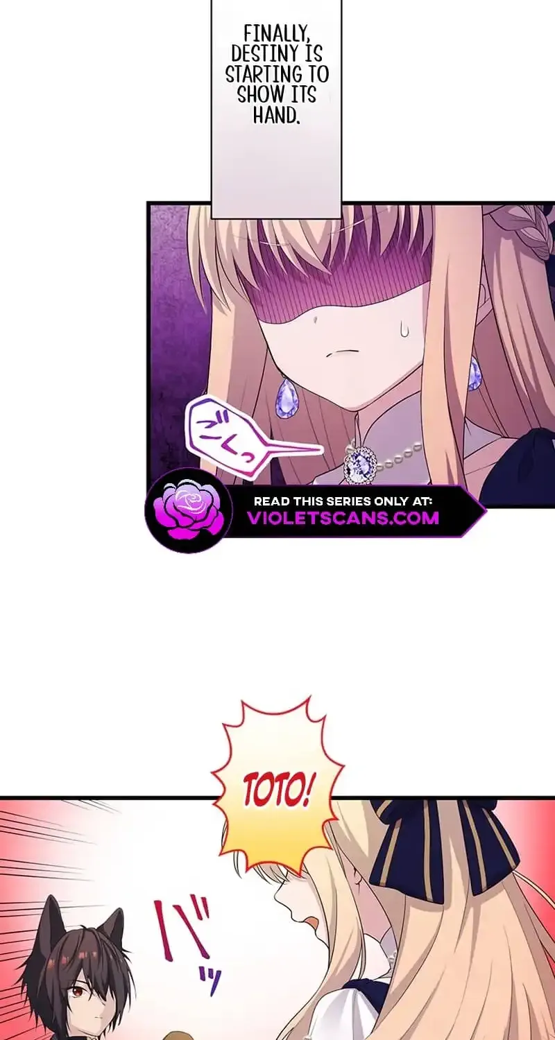 The Legendary Assassin Reincarnated as the Beloved Youngest Daughter of a Royal Family Chapter 25 page 46 - 