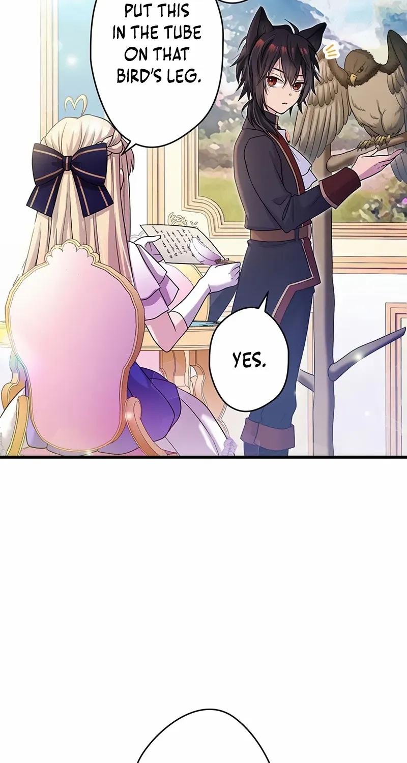 The Legendary Assassin Reincarnated as the Beloved Youngest Daughter of a Royal Family Chapter 27 page 11 - 