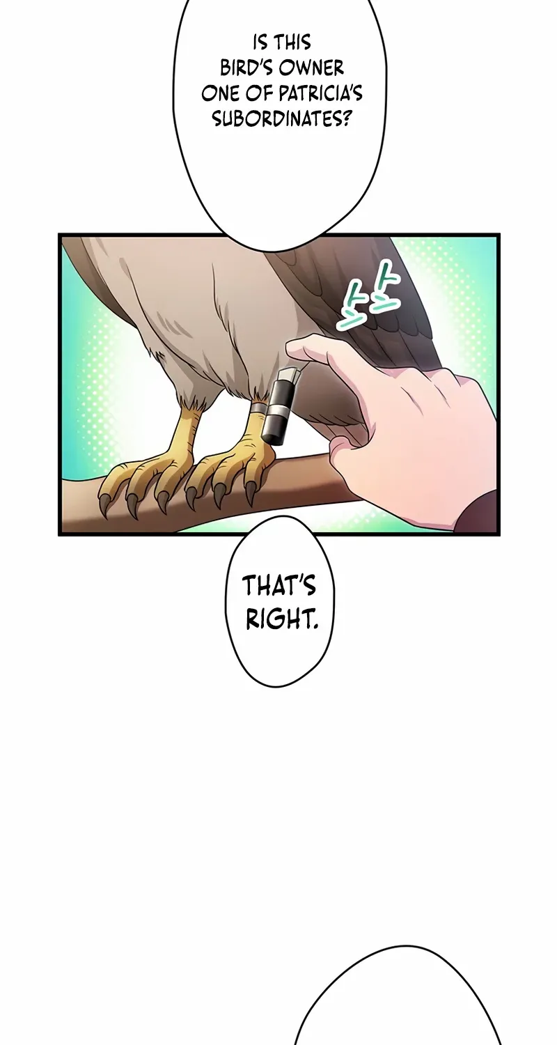 The Legendary Assassin Reincarnated as the Beloved Youngest Daughter of a Royal Family Chapter 27 page 12 - 