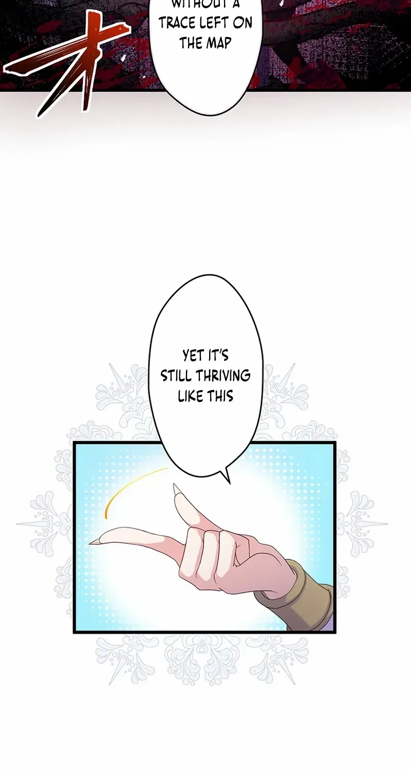 The Legendary Assassin Reincarnated as the Beloved Youngest Daughter of a Royal Family Chapter 31 page 44 - 