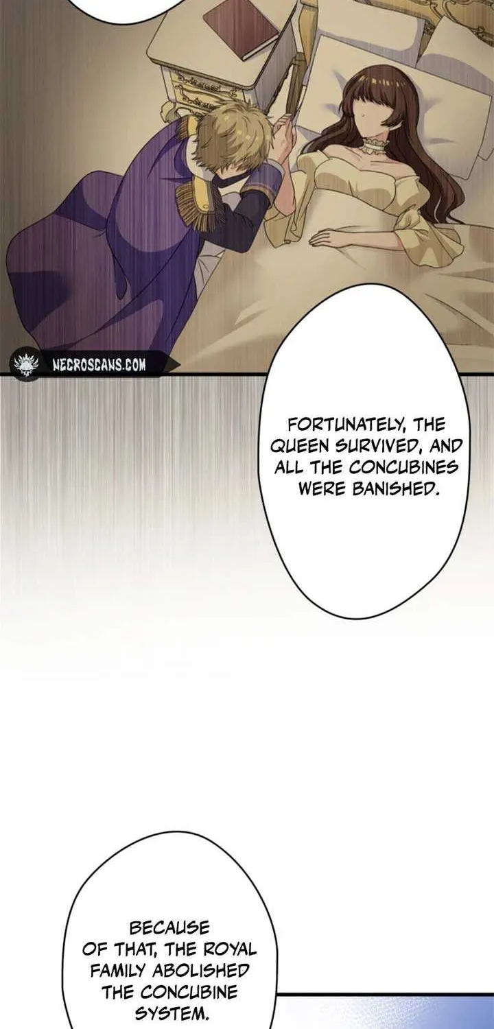 The Legendary Assassin Reincarnated as the Beloved Youngest Daughter of a Royal Family Chapter 42 page 11 - 